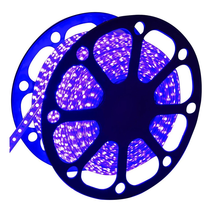 Aigostar - Striscia LED da esterno 50m LED/300W/230V blu IP65