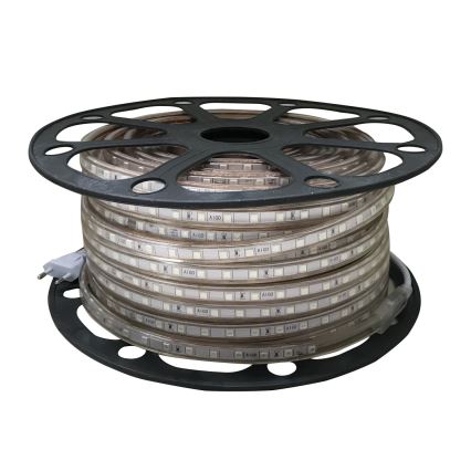 Aigostar - Striscia LED da esterno 50m LED/300W/230V blu IP65