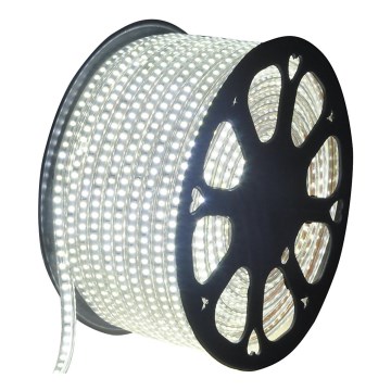 Aigostar - Striscia LED da esterno 50m LED/350W/230V 6500K IP65