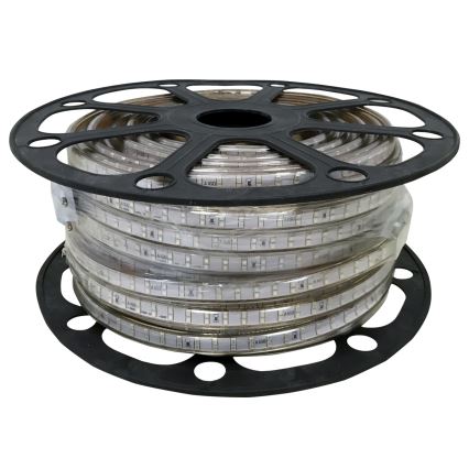 Aigostar - Striscia LED da esterno 50m LED/350W/230V blu IP65
