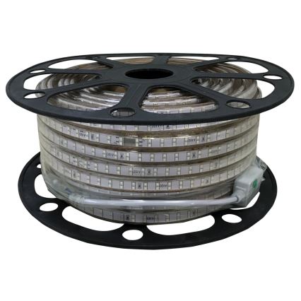 Aigostar - Striscia LED da esterno 50m LED/350W/230V verde IP65