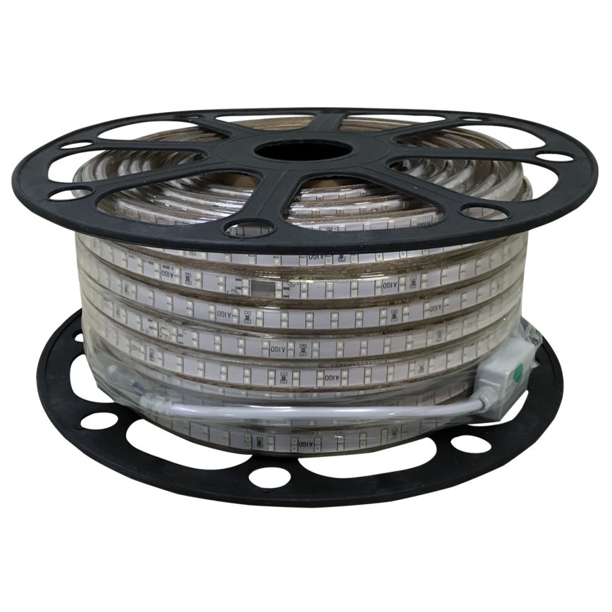 Aigostar - Striscia LED da esterno 50m LED/350W/230V verde IP65