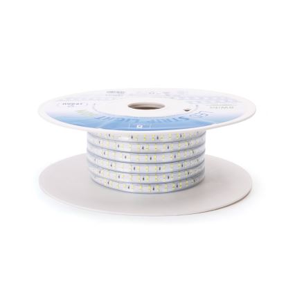 Aigostar - Striscia LED LED/400W/230V 50m 6500K IP65