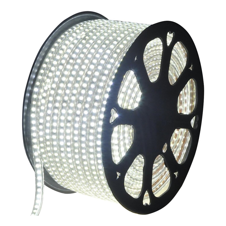 Aigostar - Striscia LED per esterni 50m LED/350W/230V 6500K IP65