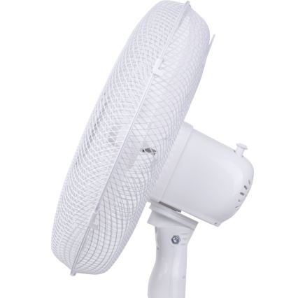 Aigostar - Ventilatore da pavimento 40W/230V 120 cm bianco