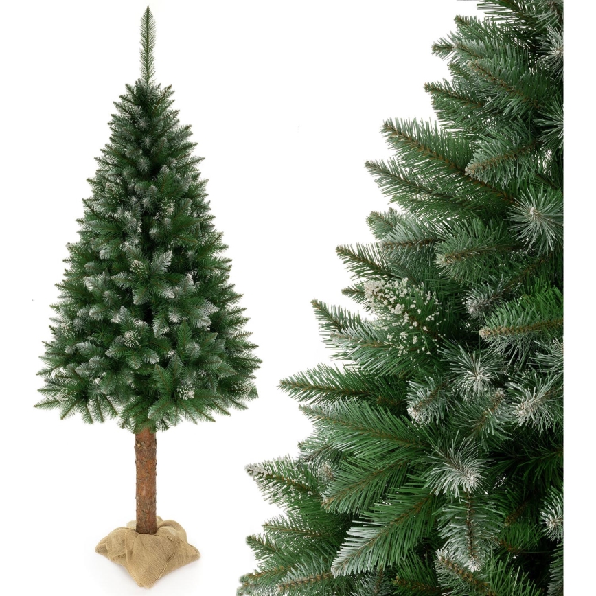 Albero di Natale 220 cm in abete
