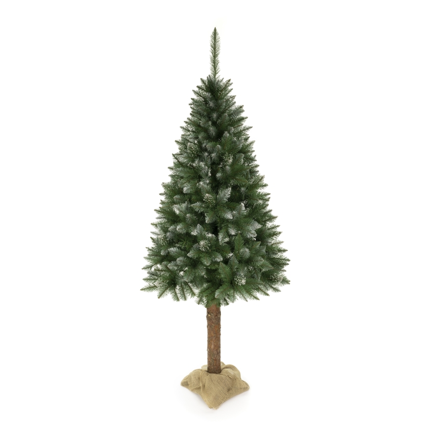 Albero di Natale 220 cm in abete
