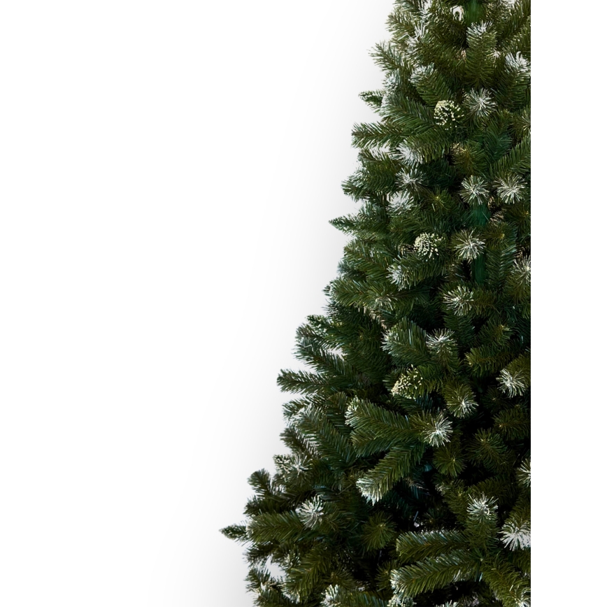 Albero di Natale 250 cm in abete