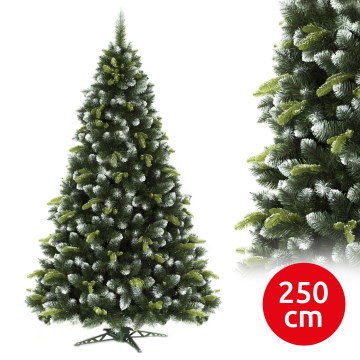 Albero di Natale in pino, alto 250 cm