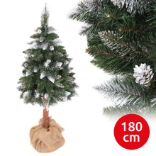 Albero di Natale PIN 180 cm pino