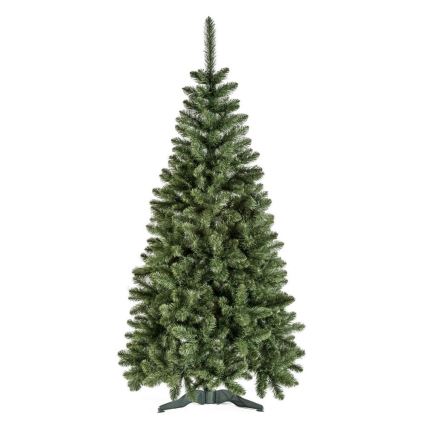 Albero di Natale POLA 250 cm pino