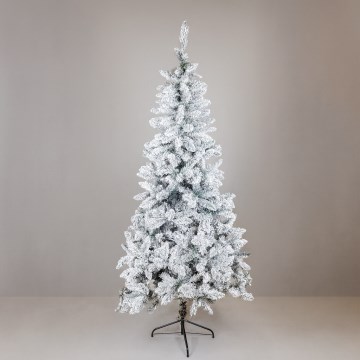 Albero di Natale SCOTLAND 210 cm, abete