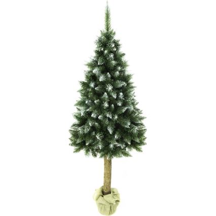 Albero di Natale su tronco 180 cm abete