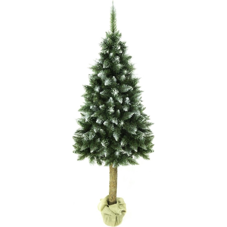 Albero di Natale su tronco 180 cm abete