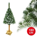 Albero di Natale su tronco 180 cm pino