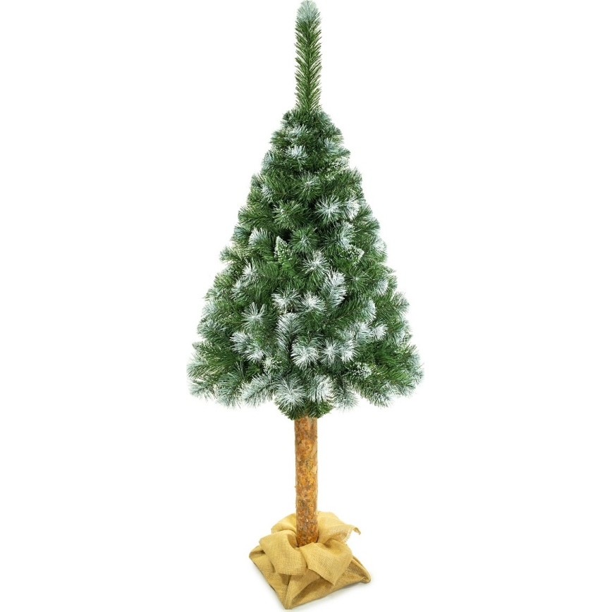 Albero di Natale su tronco 180 cm pino