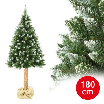 Albero di Natale su tronco 180 cm pino