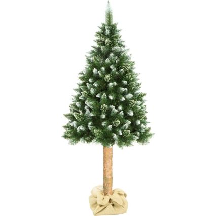 Albero di Natale su tronco 180 cm pino