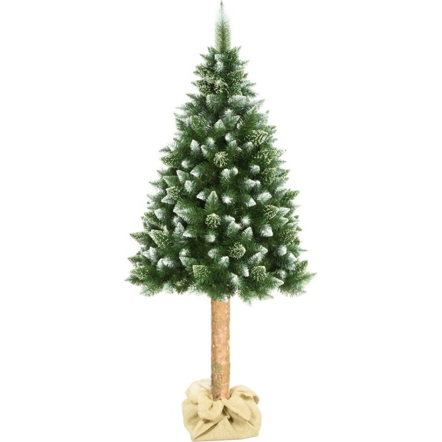 Albero di Natale su tronco 180 cm pino
