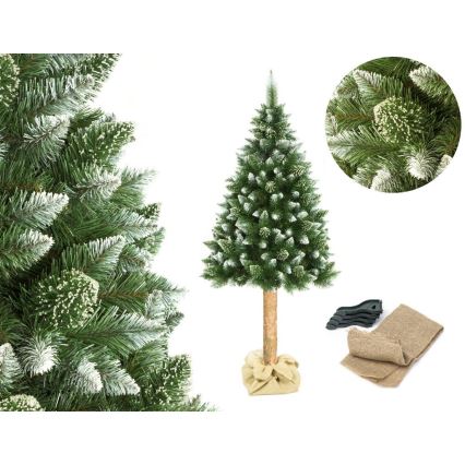 Albero di Natale su tronco 180 cm pino