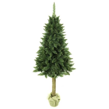 Albero di Natale su tronco di abete 180 cm