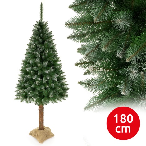 Albero di Natale su tronco di abete 180 cm