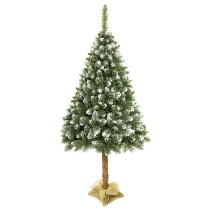 Albero di Natale su tronco di pino 180 cm