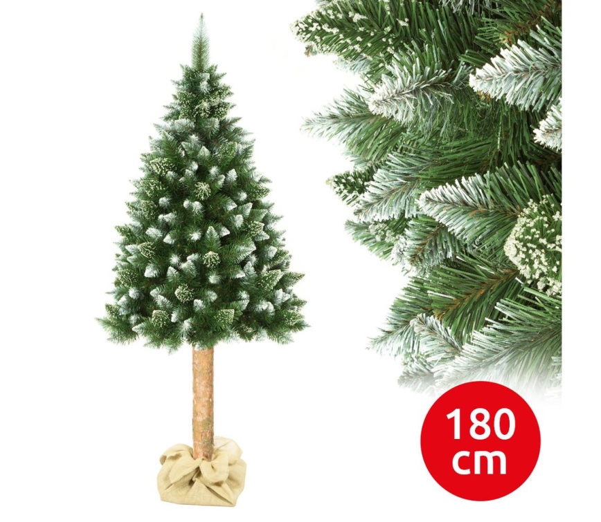 Albero di Natale su tronco di pino da 180 cm