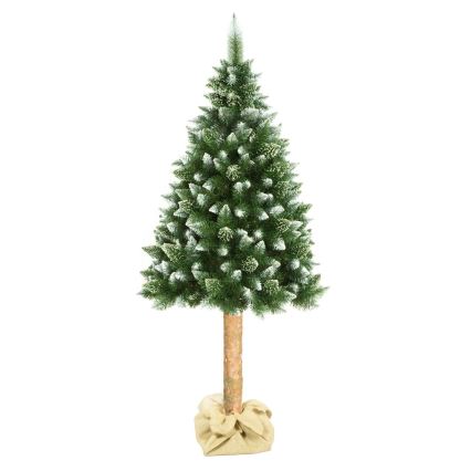 Albero di Natale su tronco di pino da 180 cm