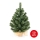 Albero di Natale XMAS TREES 50 cm pino