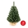 Albero di Natale XMAS TREES 70 cm pino