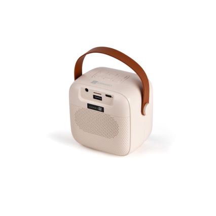 CONNECT IT CSP-1010-BG - Altoparlante LED RGB con 2 microfoni wireless 2Mic 5W/1200 mAh + 2x 400 mAh crema/oro