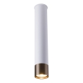 Amplex - Faretto 1xGU10/10W/230V bianco/oro
