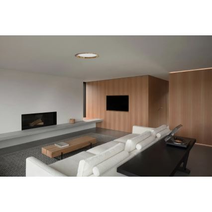 APLED - Lampada LED da incasso RONDO WOODLINE LED/18W/230V 3000K diametro 26 cm cenere legno solido