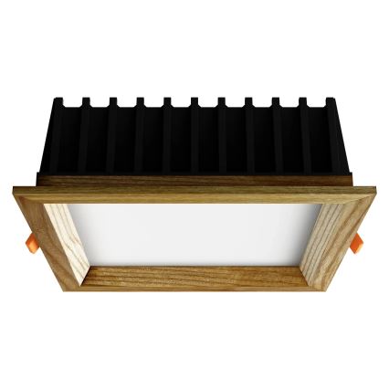 APLED - Lampada LED da incasso SQUARE WOODLINE LED/12W/230V 4000K 17x17 cm cenere legno solido