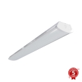 APLED - LED Lampada fissa TROUT LED/36W/230V 4000K + emergenza