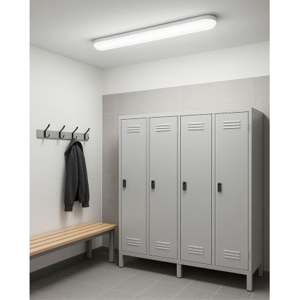 Apparecchio illuminante tecnico lineare a LED 36W/230V 4200K 120 cm IP65