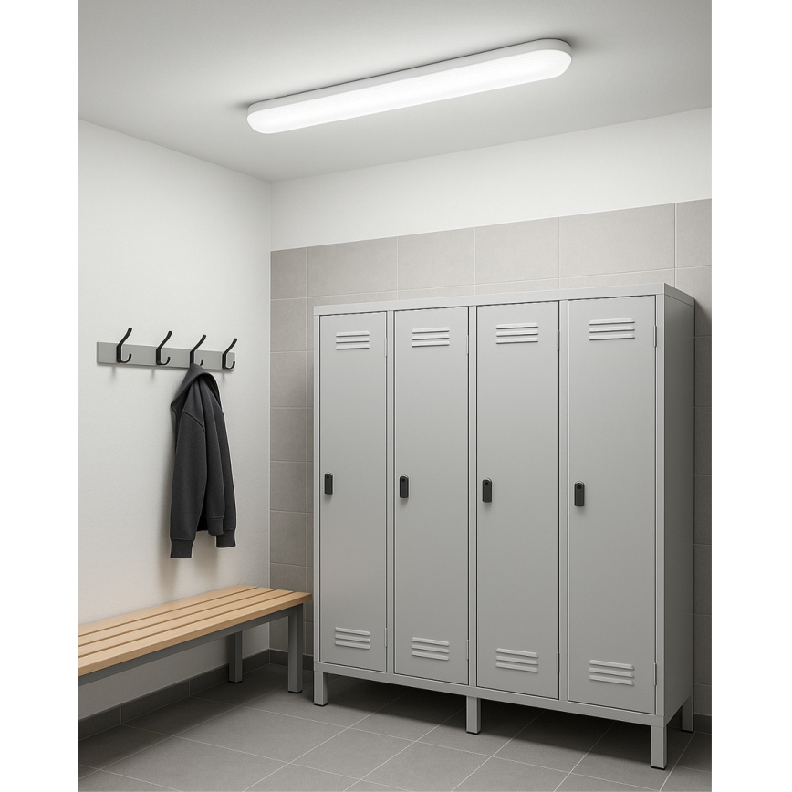 Apparecchio illuminante tecnico lineare a LED 36W/230V 4200K 120 cm IP65
