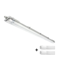 Apparecchio tecnico LED per tubi fluorescenti T8 2xG13/18W/230V 6500K IP65 127 cm