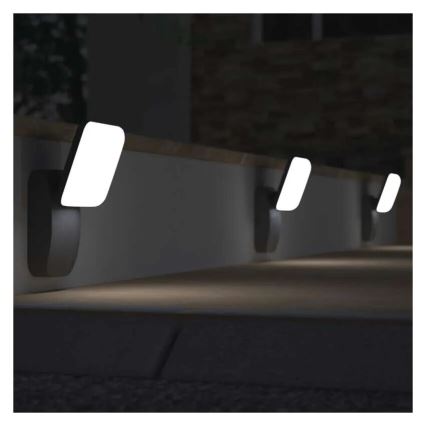 Applique a LED da esterno NIKA LED/12,5W/230V IP44