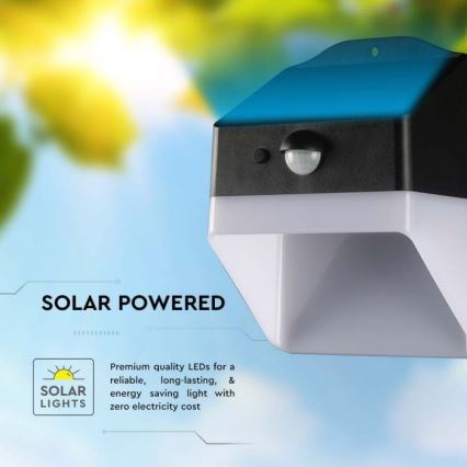 Applique a LED solare con sensore LED/2W/3,7V 4000K IP65