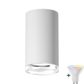 Applique da bagno dimmerabile LED RGBW TURYN 1xGU10/6,5W/230V 2700-6500K Wi-Fi IP44 bianca