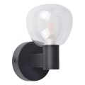 Applique da bagno POLA 1xG9/5W/230V IP44 nera/trasparente