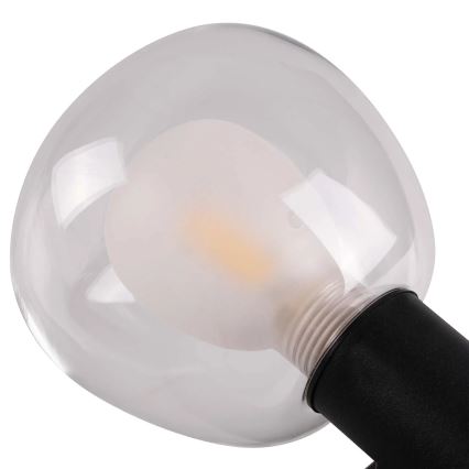 Applique da bagno POLA 2xG9/5W/230V IP44 nero/trasparente