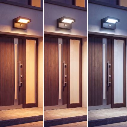 Lampada da parete per esterni a LED con sensore di movimento e sensore crepuscolare LED/25W/230V 3000/4000/6500K IP54 nero
