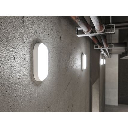 Applique da esterno LED 12W/230V IP54 bianca