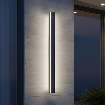 Applique da esterno MIRANA LED/25W/230V 4000K IP44 120 cm nera