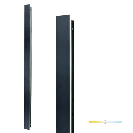 Applique da esterno MIRANA LED/25W/230V 4000K IP44 120 cm nera