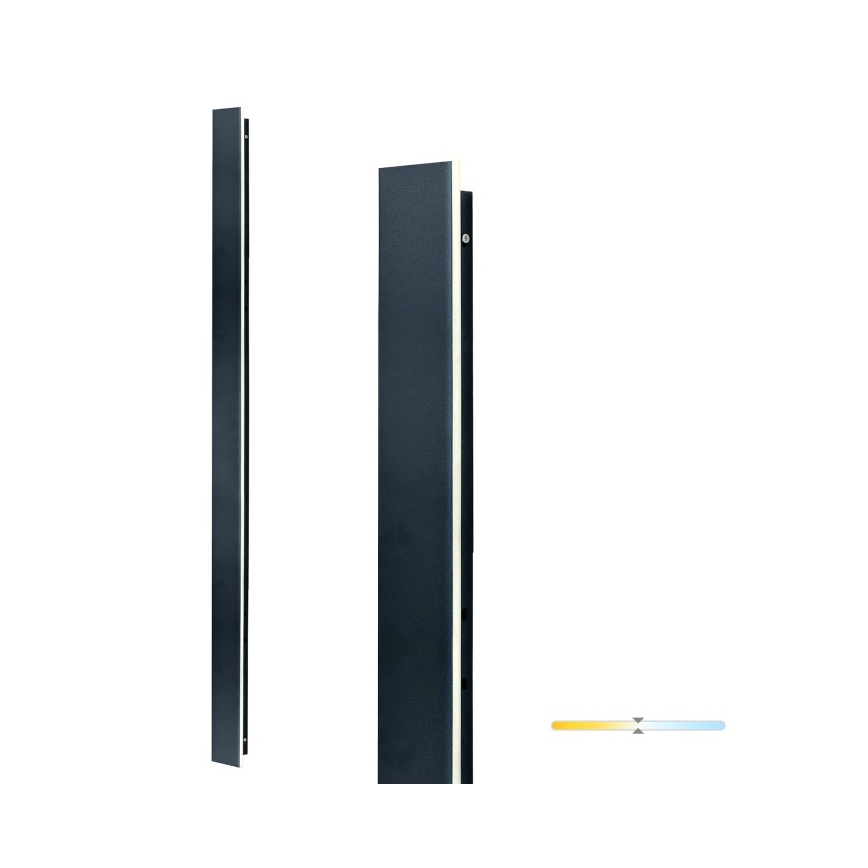 Applique da esterno MIRANA LED/25W/230V 4000K IP44 120 cm nera