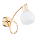 Applique ERYKA 1xE14/10W/230V oro